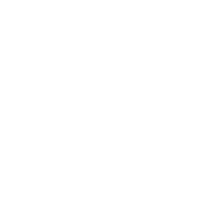 Equine icon